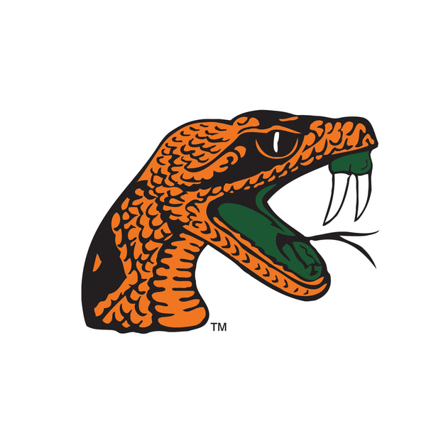 FAMU Orange Rattlers Batters Jersey, J. Hack Athletics, JimiHack –  JimiHack