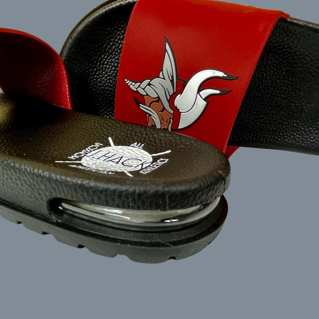 William M. RAINES Slides