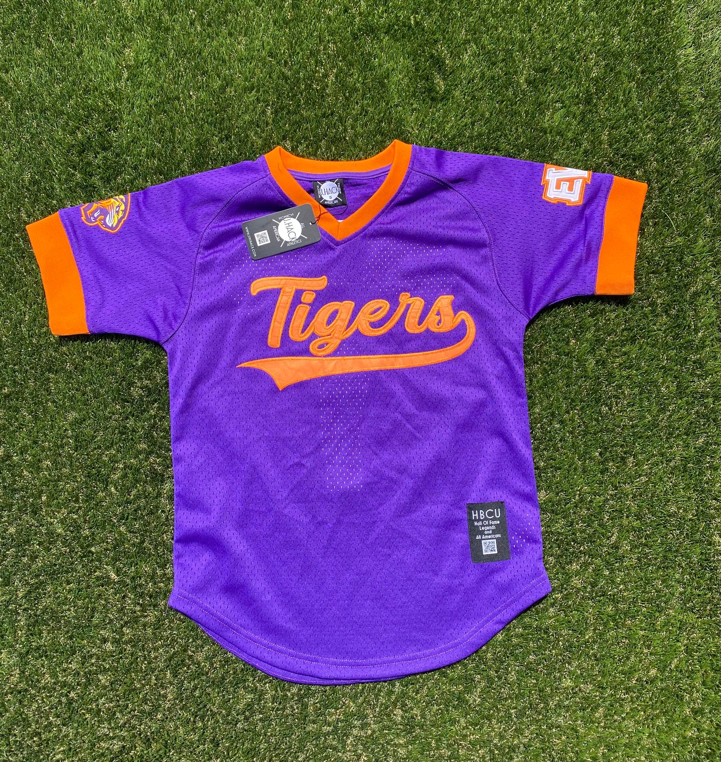 Edward Waters University Batters Jersey