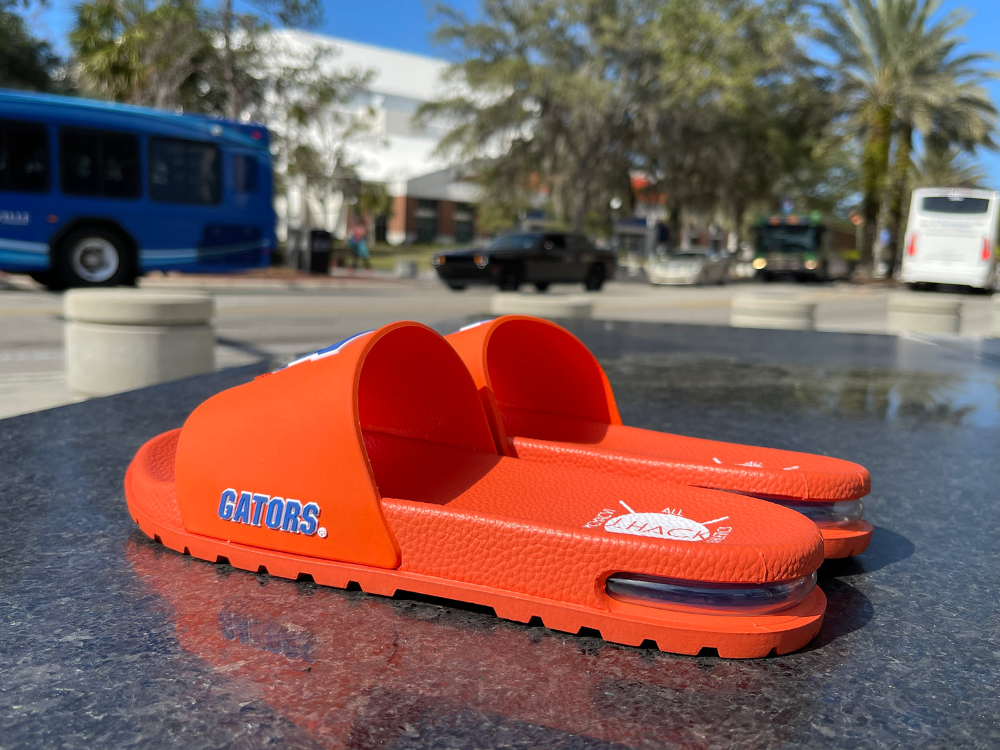 University of Florida Air 'Fast F' Slides