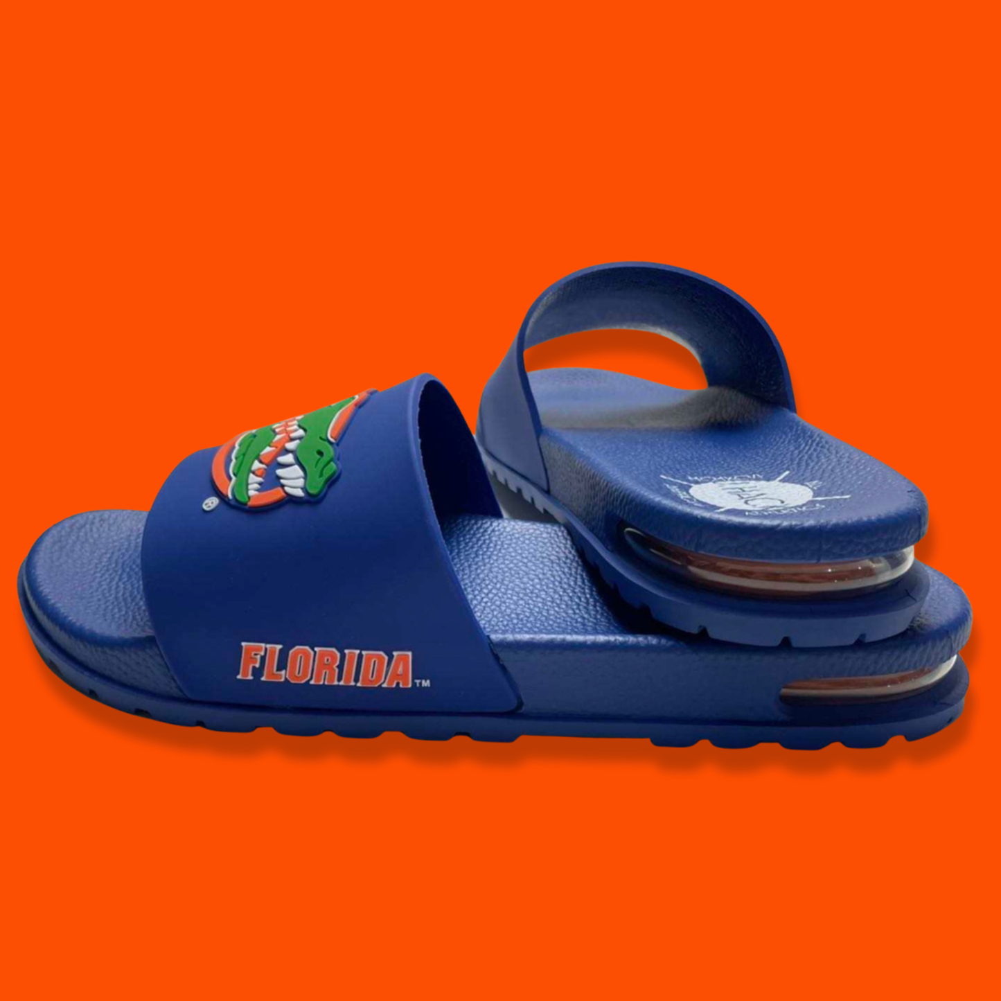University of Florida Air Gators Slides