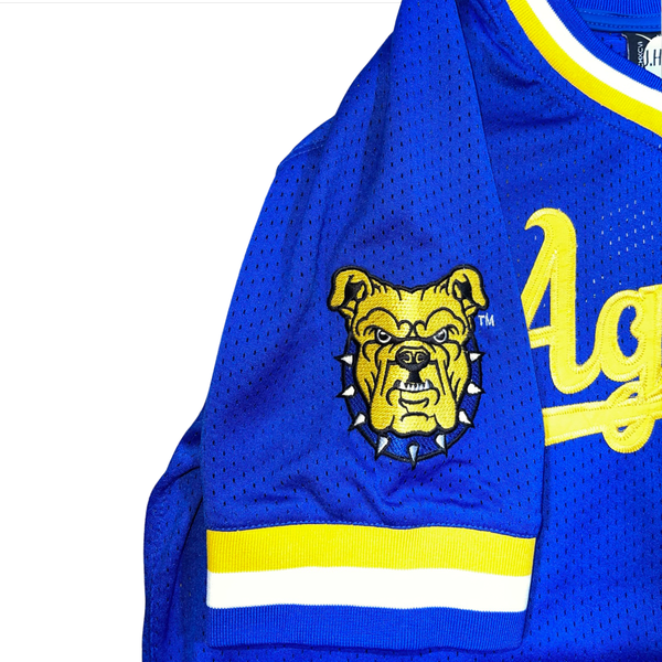 NC A&T Blue Jersey – JimiHack