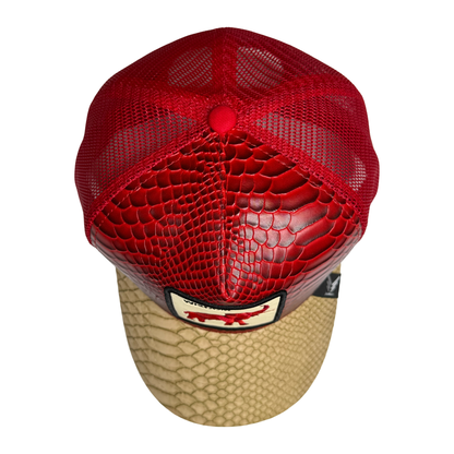 DST Delta Sigma Theta Trucker