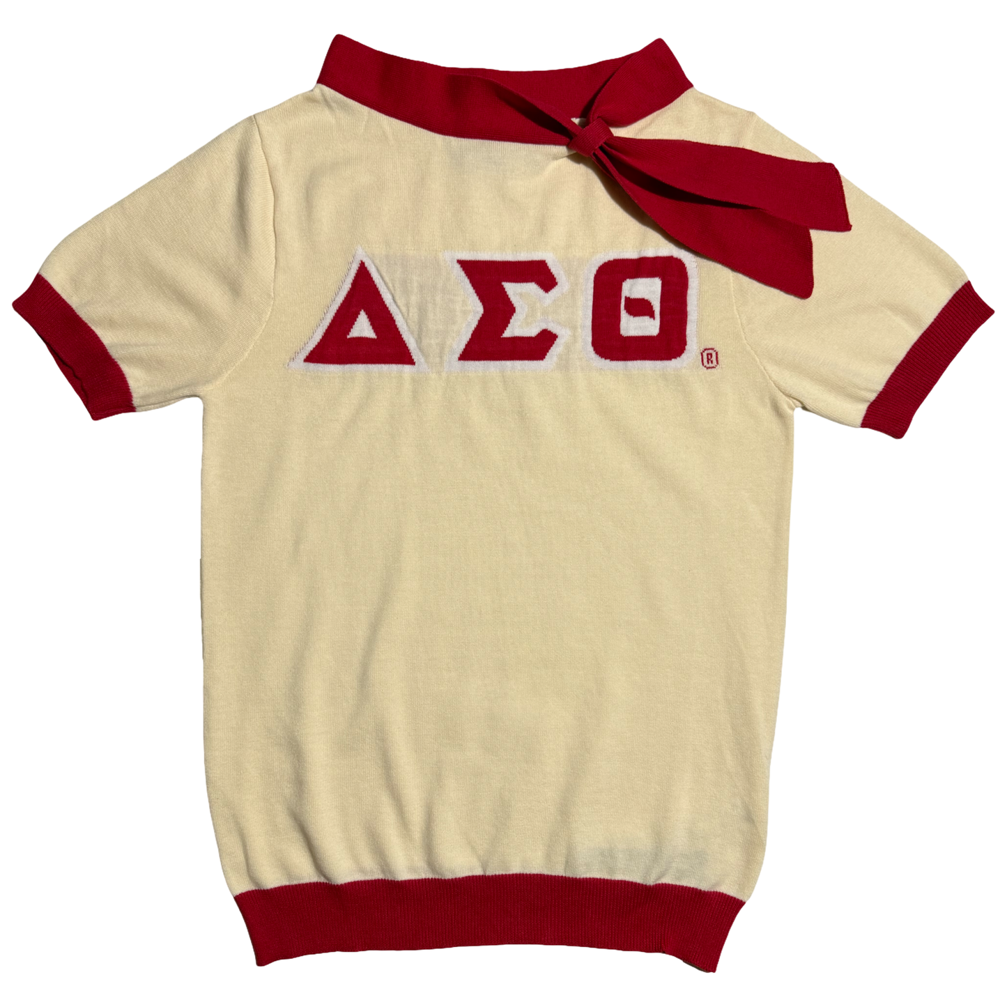 Delta Sigma Theta Scarf Crewneck Top
