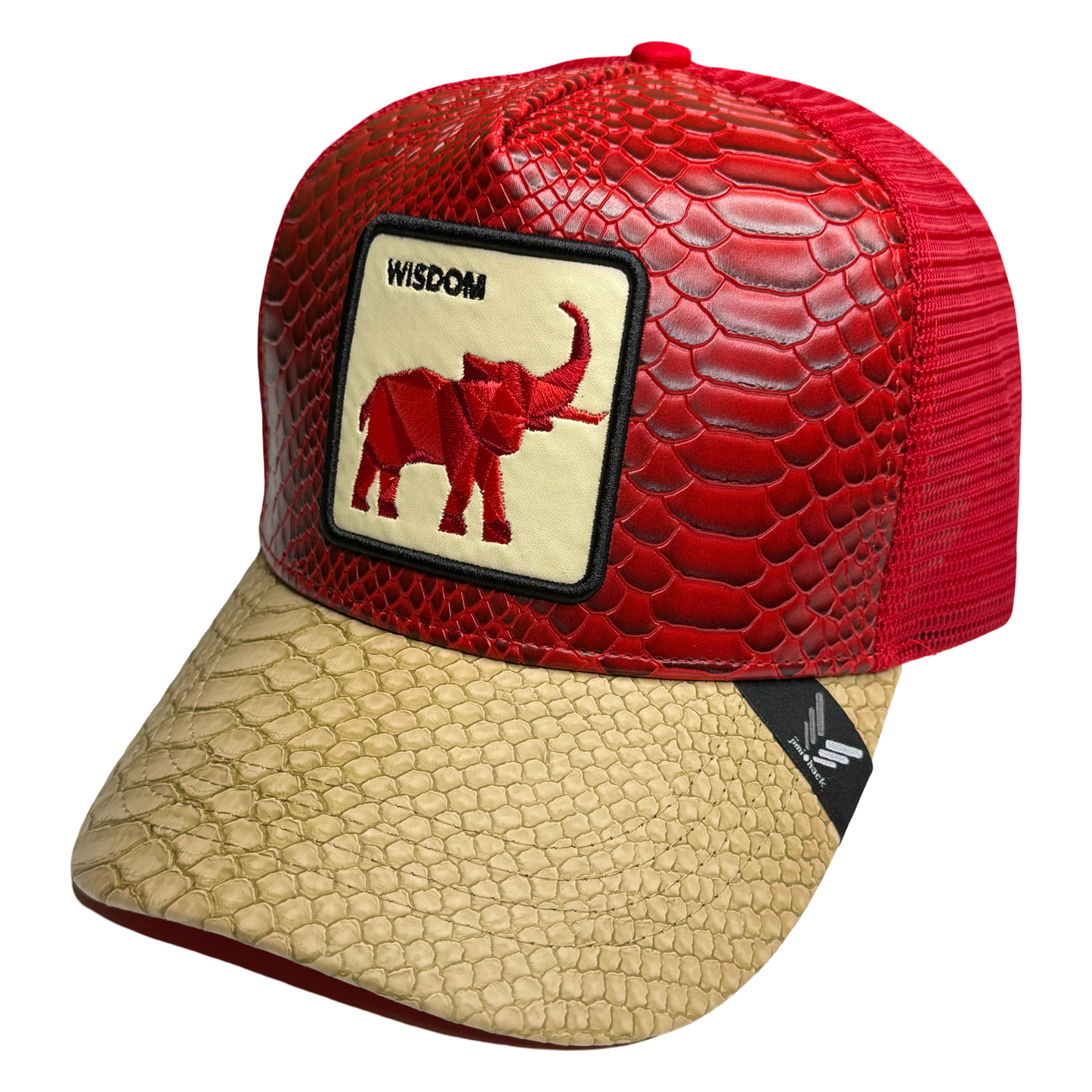 DST Delta Sigma Theta Trucker