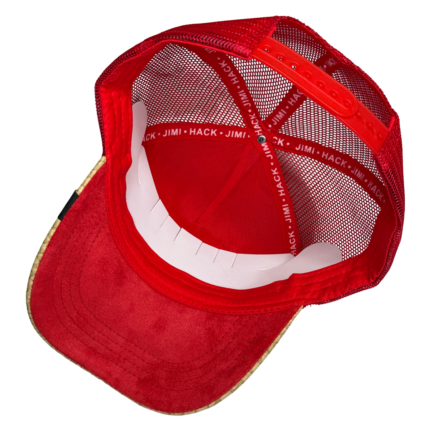 DST Delta Sigma Theta Trucker