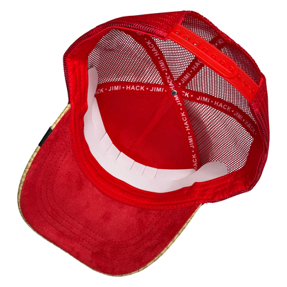 DST Delta Sigma Theta Trucker