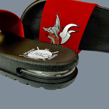 William M. RAINES Slides