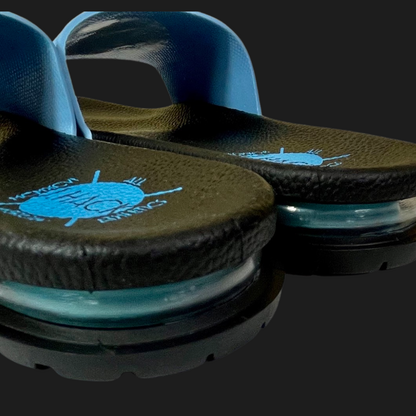 Jean Ribault Trojan Slides