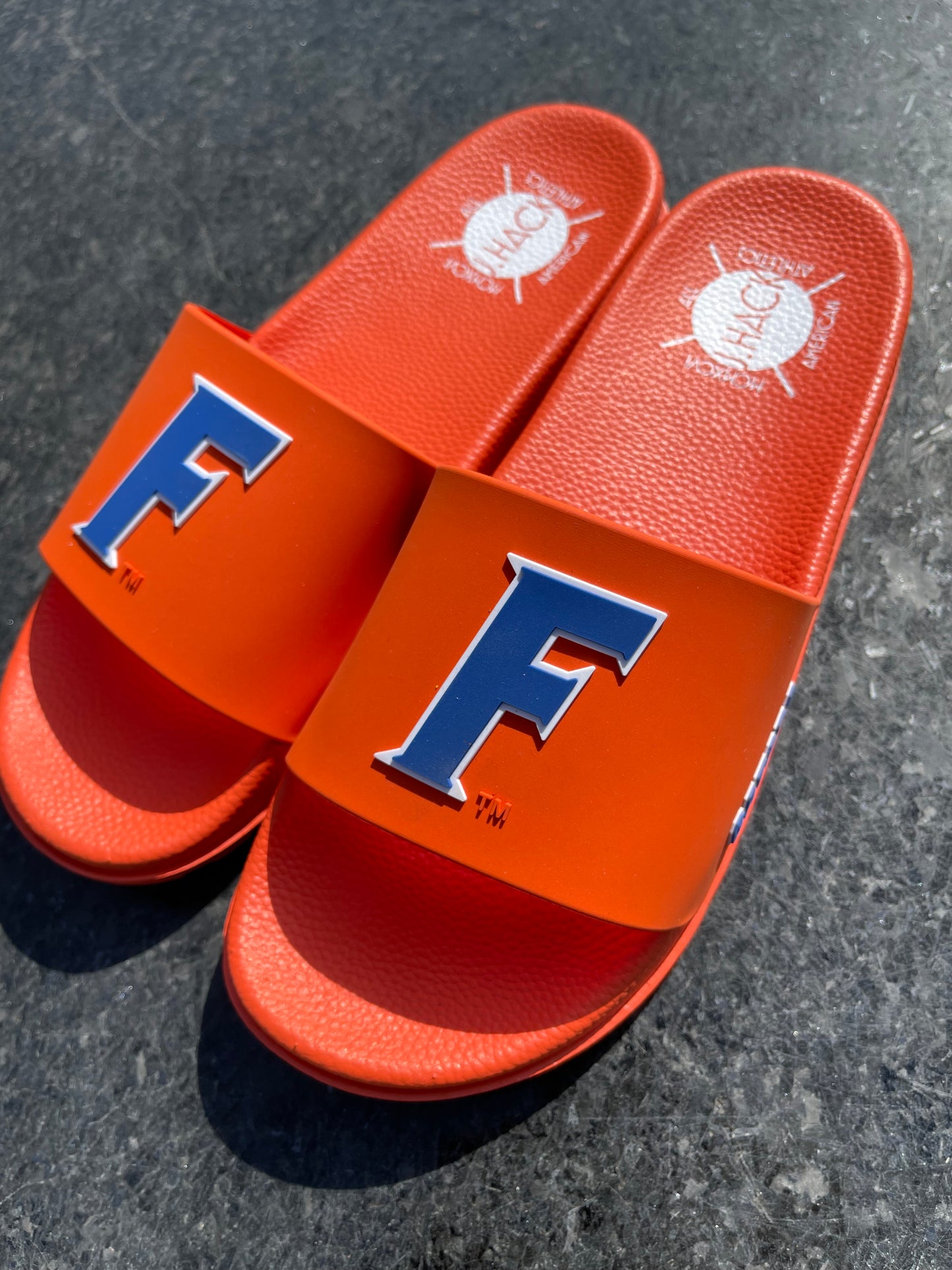 University of Florida Air 'Fast F' Slides