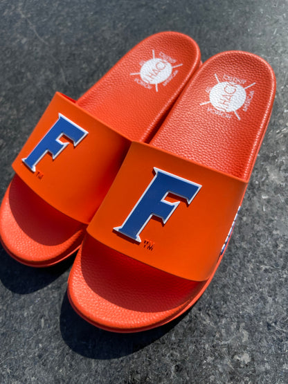 University of Florida Air 'Fast F' Slides