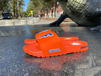 University of Florida Air 'Fast F' Slides