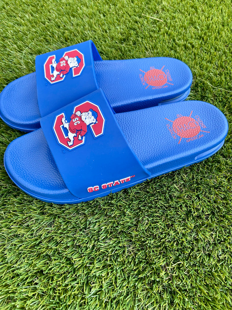 SC STATE ‘BULLDOGS’ Slides