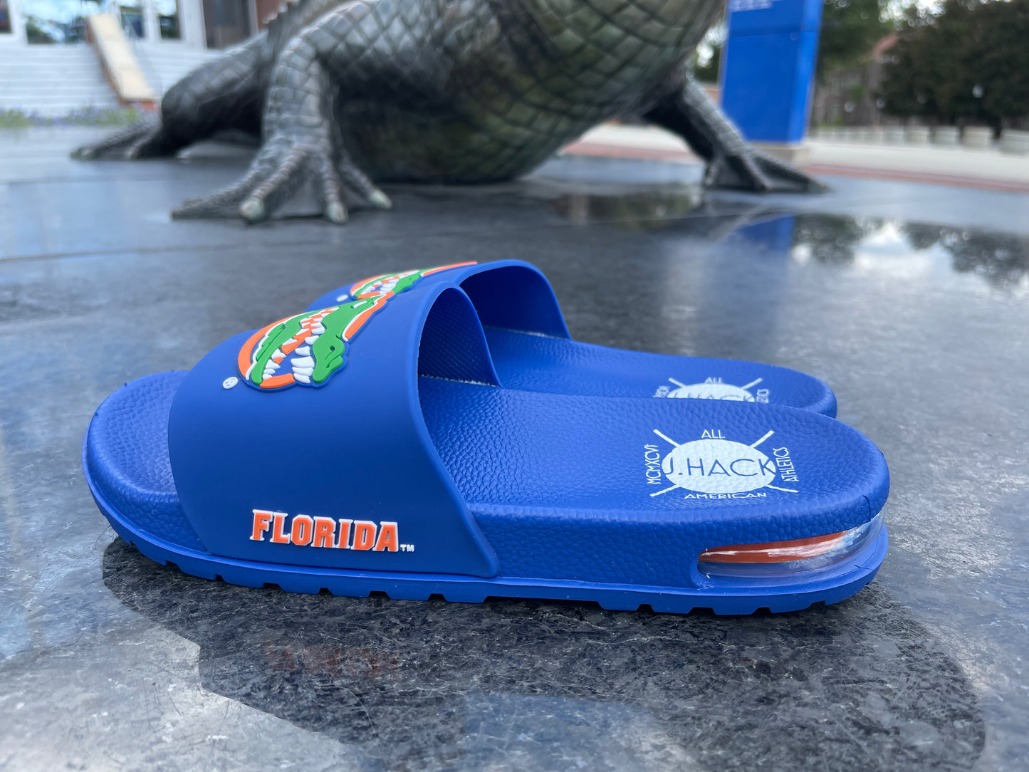 University of Florida Air Gators Slides