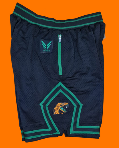 THE BLACK FAMU Rattlers Shorts