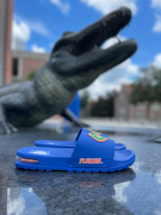 University of Florida Air Gators Slides