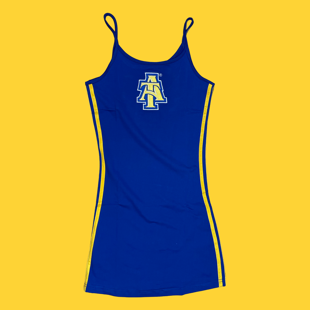 NC A&T Blue Jersey – JimiHack