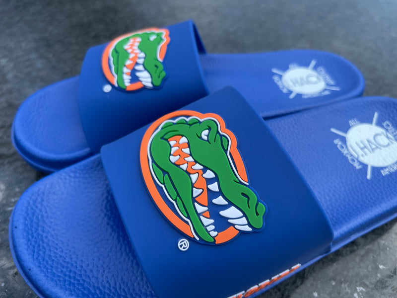 University of Florida Air Gators Slides