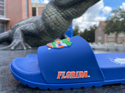 University of Florida Air Gators Slides